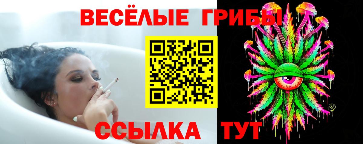 Алатырь  Галлюциногенные грибы Cubensis  купить наркоту  Вход с VPN 